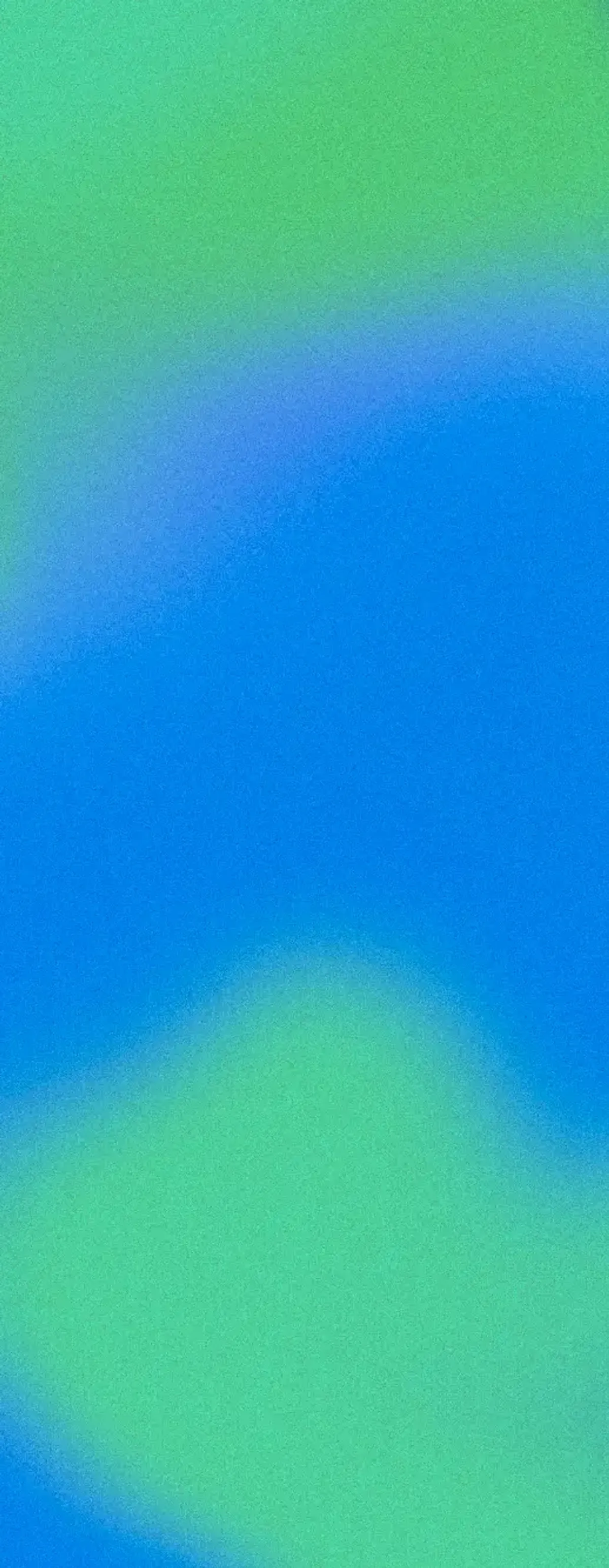 プログラム画像