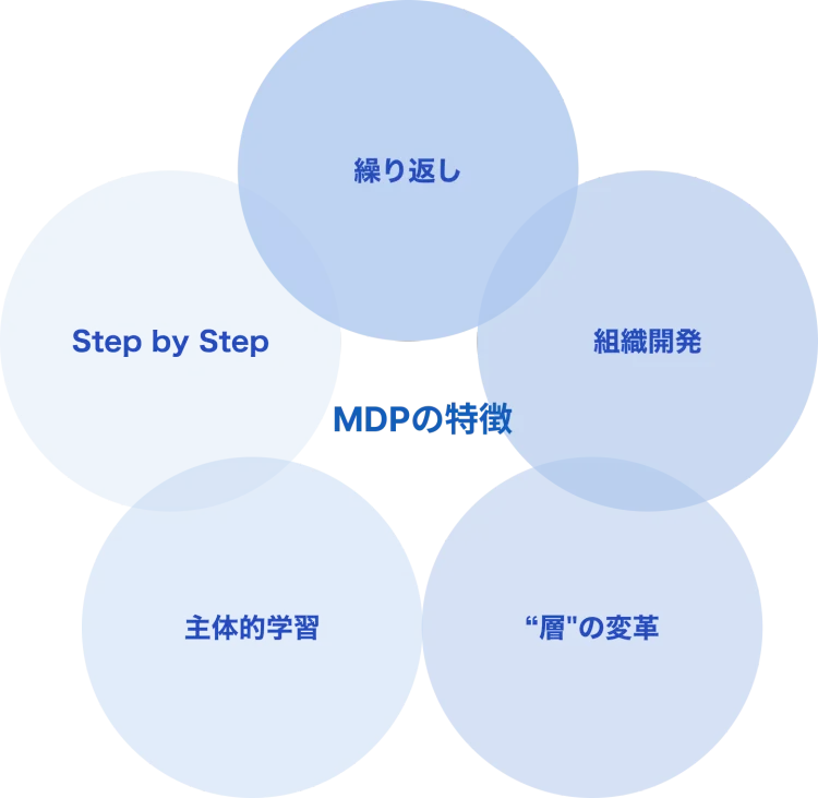 MDPプログラムの概要を示すイメージ